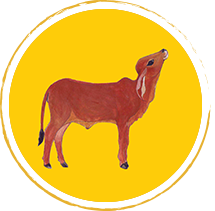 Nandi Distribution