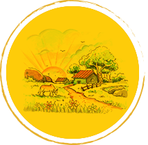 Panchgavya Farming