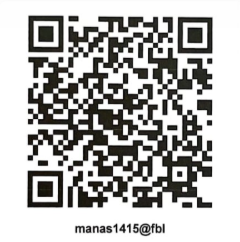UPI QR