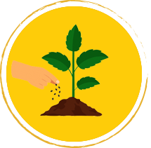 Organic Fertilizer