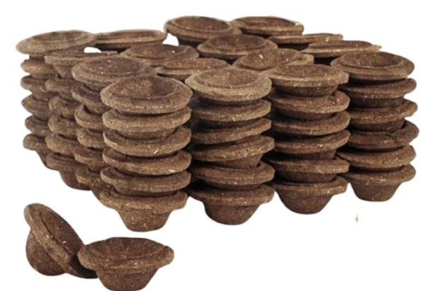 COW DUNG DIYA