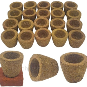SAMBRANI